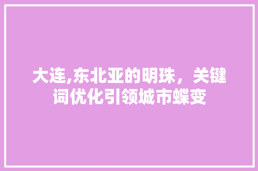 大连,东北亚的明珠，关键词优化引领城市蝶变
