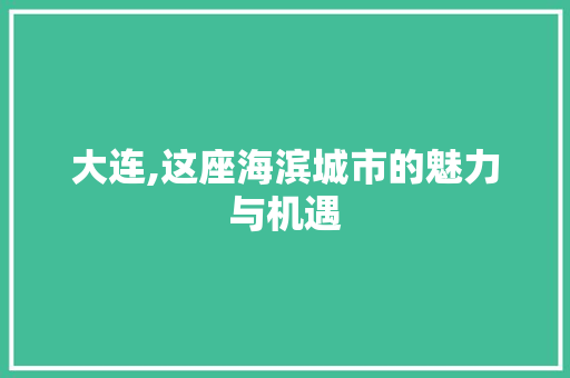大连,这座海滨城市的魅力与机遇