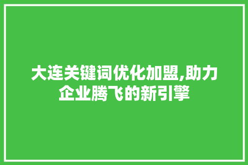 大连关键词优化加盟,助力企业腾飞的新引擎