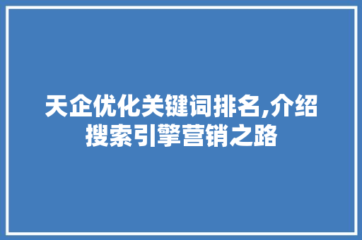 天企优化关键词排名,介绍搜索引擎营销之路