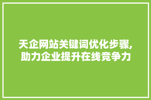 天企网站关键词优化步骤,助力企业提升在线竞争力