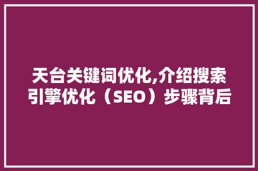天台关键词优化,介绍搜索引擎优化（SEO）步骤背后的秘密