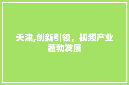 天津,创新引领，视频产业蓬勃发展
