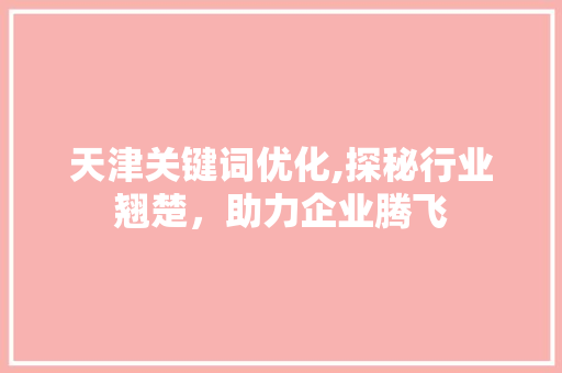天津关键词优化,探秘行业翘楚，助力企业腾飞