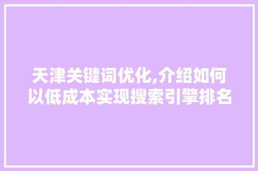天津关键词优化,介绍如何以低成本实现搜索引擎排名提升