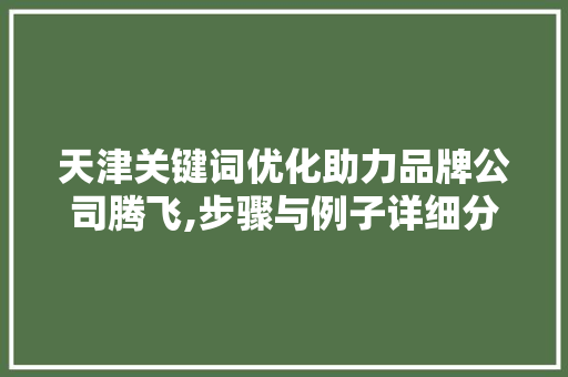 天津关键词优化助力品牌公司腾飞,步骤与例子详细分析