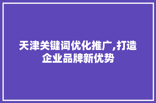 天津关键词优化推广,打造企业品牌新优势