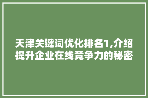 天津关键词优化排名1,介绍提升企业在线竞争力的秘密武器