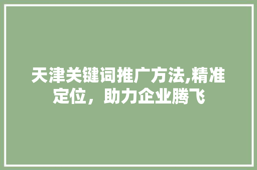 天津关键词推广方法,精准定位，助力企业腾飞