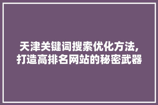 天津关键词搜索优化方法,打造高排名网站的秘密武器