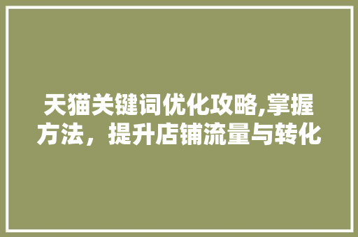 天猫关键词优化攻略,掌握方法，提升店铺流量与转化