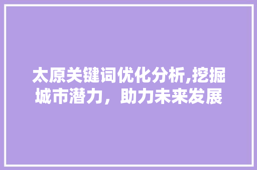 太原关键词优化分析,挖掘城市潜力，助力未来发展