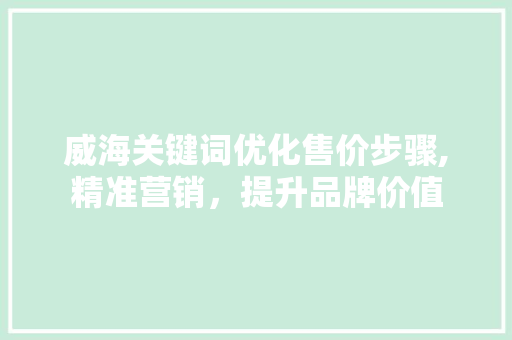 威海关键词优化售价步骤,精准营销，提升品牌价值