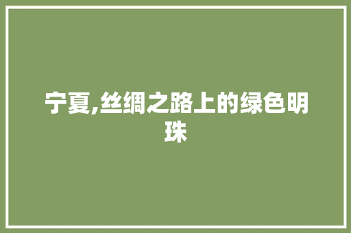 宁夏,丝绸之路上的绿色明珠
