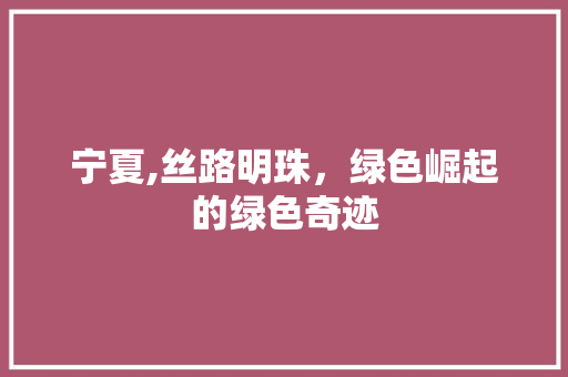 宁夏,丝路明珠，绿色崛起的绿色奇迹