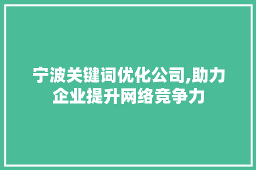 宁波关键词优化公司,助力企业提升网络竞争力