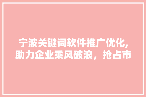 宁波关键词软件推广优化,助力企业乘风破浪，抢占市场先机