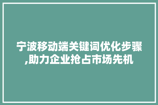 宁波移动端关键词优化步骤,助力企业抢占市场先机