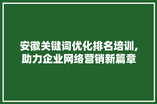 安徽关键词优化排名培训,助力企业网络营销新篇章