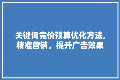 关键词竞价预算优化方法,精准营销，提升广告效果