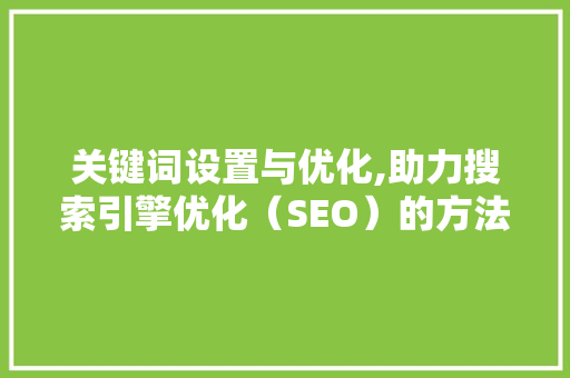关键词设置与优化,助力搜索引擎优化（SEO）的方法