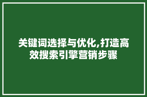 关键词选择与优化,打造高效搜索引擎营销步骤