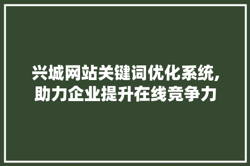 兴城网站关键词优化系统,助力企业提升在线竞争力