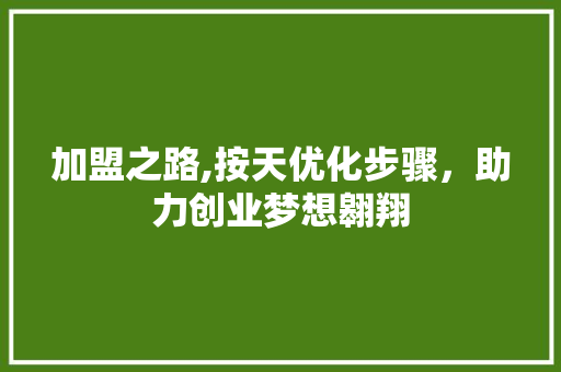加盟之路,按天优化步骤，助力创业梦想翱翔
