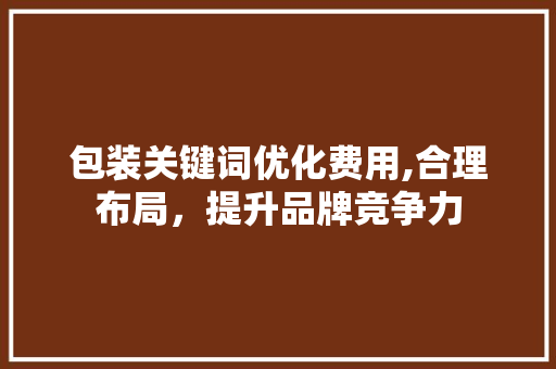 包装关键词优化费用,合理布局，提升品牌竞争力