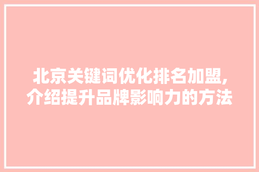 北京关键词优化排名加盟,介绍提升品牌影响力的方法