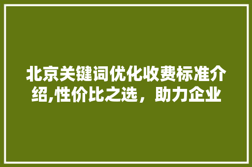北京关键词优化收费标准介绍,性价比之选，助力企业网络营销