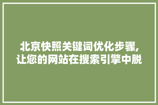 北京快照关键词优化步骤,让您的网站在搜索引擎中脱颖而出