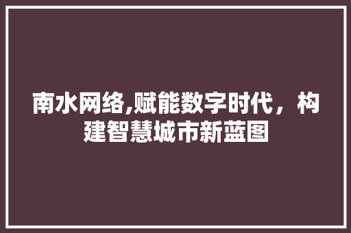 南水网络,赋能数字时代，构建智慧城市新蓝图