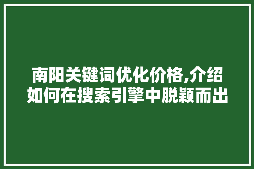 南阳关键词优化价格,介绍如何在搜索引擎中脱颖而出
