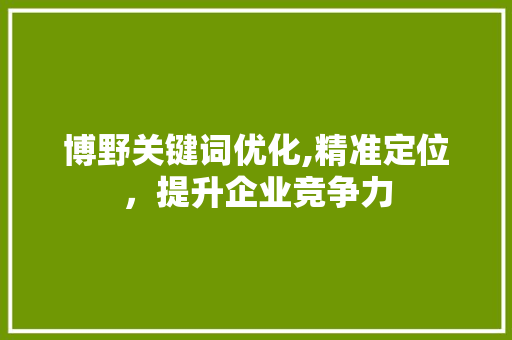博野关键词优化,精准定位，提升企业竞争力