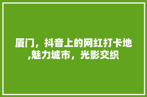 厦门，抖音上的网红打卡地,魅力城市，光影交织