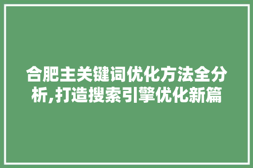 合肥主关键词优化方法全分析,打造搜索引擎优化新篇章