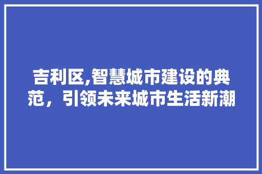 吉利区,智慧城市建设的典范，引领未来城市生活新潮流