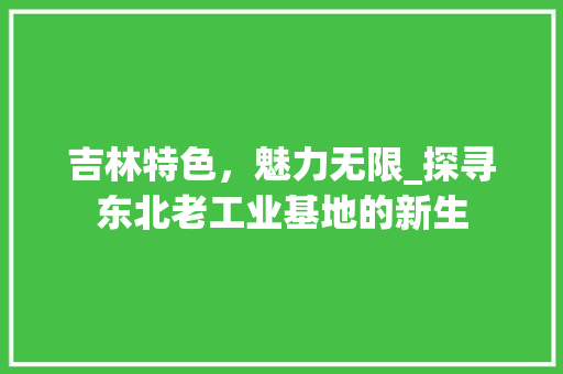 吉林特色，魅力无限_探寻东北老工业基地的新生