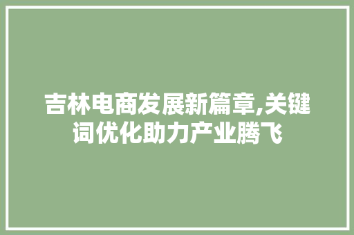 吉林电商发展新篇章,关键词优化助力产业腾飞