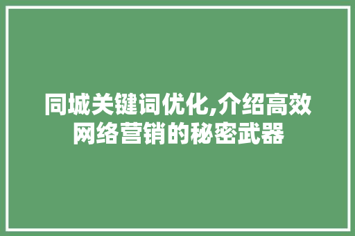 同城关键词优化,介绍高效网络营销的秘密武器