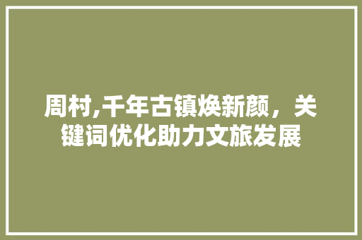 周村,千年古镇焕新颜，关键词优化助力文旅发展