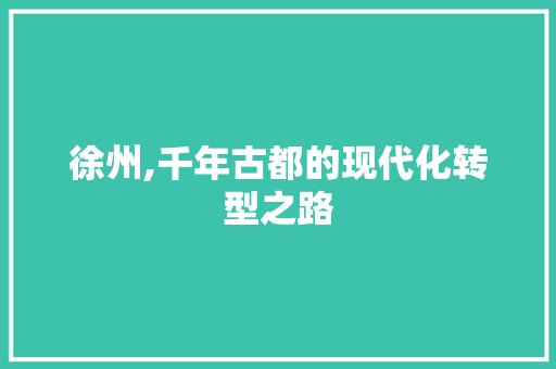 徐州,千年古都的现代化转型之路