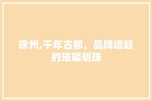 徐州,千年古都，品牌崛起的璀璨明珠 MySQL