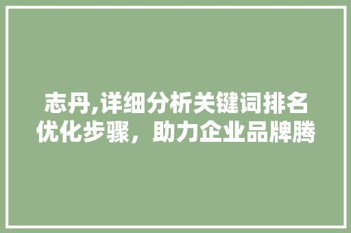 志丹,详细分析关键词排名优化步骤，助力企业品牌腾飞