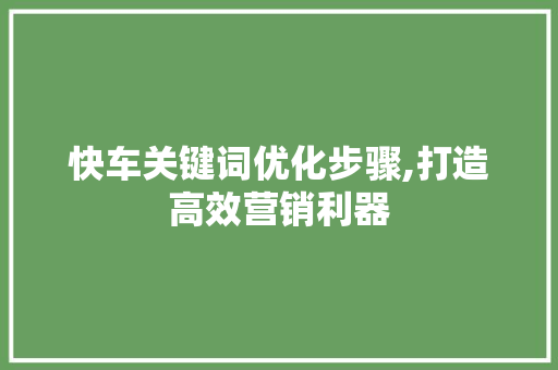 快车关键词优化步骤,打造高效营销利器 MySQL