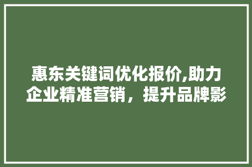 惠东关键词优化报价,助力企业精准营销，提升品牌影响力
