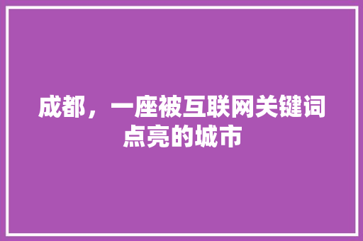 成都，一座被互联网关键词点亮的城市