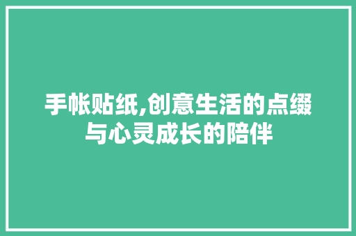 手帐贴纸,创意生活的点缀与心灵成长的陪伴