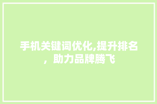 手机关键词优化,提升排名，助力品牌腾飞